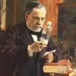 Pasteur y el arte de salvar el vino francés