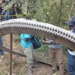 Un anillo gigantesco de más de 2 metros y un peso de media tonelada cae del cielo en un pequeño poblado de Kenia