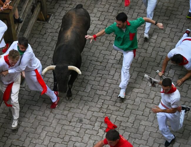 Quinto encierro de San Fermín | El quinto encierro borra la mala fama de los toros de Jandilla: una veloz, limpia y emocionante carrera