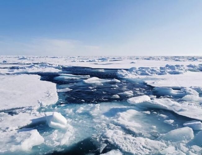 Helado, pero no sellado: el Océano Ártico permaneció abierto a la vida durante las peores edades de hielo