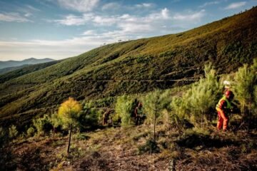 Bruselas quiere incentivar la protección de la naturaleza con “créditos” que animen a invertir en medio ambiente