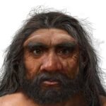 Denisovanos, los humanos más enigmáticos salen de las sombras