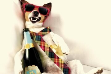 Beber de nuevo tras una resaca brutal… ¿por qué volvemos a hacerlo?