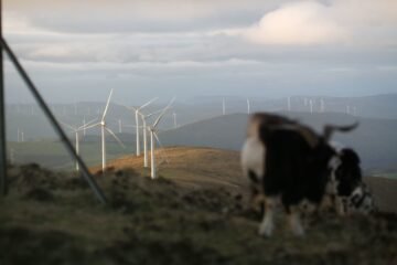 El Tribunal de Justicia de la UE respalda la tramitación de la Xunta de 70 parques eólicos ahora paralizados