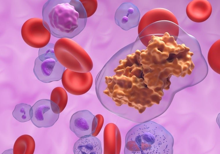 El hongo hallado en el suelo de las montañas de Noruega que permitió uno de los mayores avances médicos