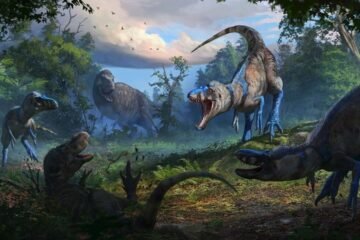 El dinosaurio Nanotyrannus existe y eso cambia por completo la historia del T-Rex