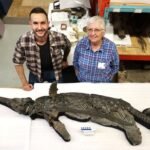Descubren el ‘dragón espada’, un raro reptil del Jurásico, en la costa de Inglaterra