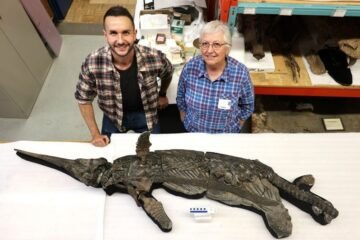 Descubren el ‘dragón espada’, un raro reptil del Jurásico, en la costa de Inglaterra