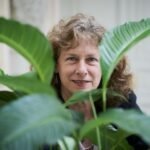 Camille Parmesan:  «La principal razón de que las especies se extingan es la pérdida de hábitats, no del cambio climático»