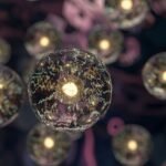 Revolución en la biología: la vida compleja se desarrolló mil millones de años antes de lo que se creía