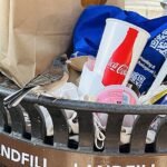 Evolución en tiempo real: las restricciones de la pandemia cambiaron el pico de un ave de Los Ángeles