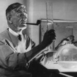 Ganar la paz desde el laboratorio