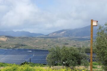 Ignis desafía los vientos en contra para las renovables en Bolsa