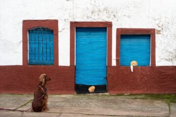 La falta de datos fiables complica la movilización de la vivienda vacía en España