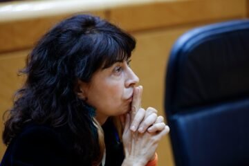 Más de una veintena de organizaciones firman una carta abierta contra el anteproyecto de ley de violencia vicaria machista