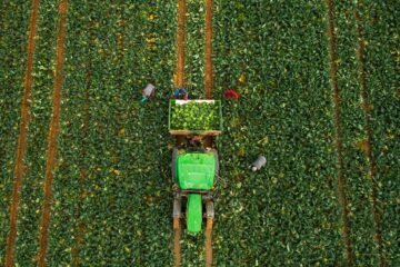 El PP y Vox extreman en Aragón su disputa por el voto agrícola con Mercosur y el Ebro como arietes
