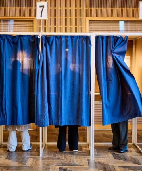 El cerdo protagoniza las elecciones de Dinamarca