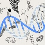 Evo 2, el ‘ChatGPT’ de la genética, ya escribe el código de la vida desde cero