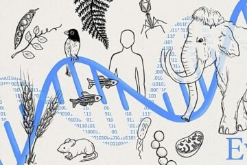 Evo 2, el ‘ChatGPT’ de la genética, ya escribe el código de la vida desde cero