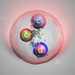 El ‘hermano obeso’ del protón: el CERN despierta de su letargo y descubre una nueva partícula