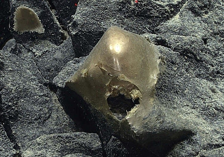 Resuelto el misterio del orbe dorado, el ‘huevo alienígena’ de Alaska