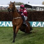 Sacrifican a un caballo  tras ganar una carrera con la espalda rota