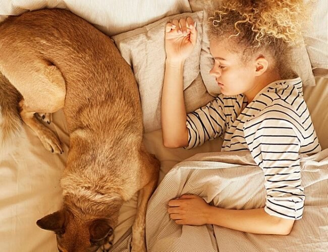 ¿Deberías dormir con tu perro? Cómo afecta al sueño… y por qué le gusta ponerse en la almohada