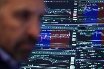 Cucarachas en el sistema financiero