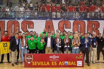 Sevilla es Asobal: el Proin ingresa en la élite del balonmano español (29-21)