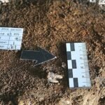 El primer dentista fue un neandertal: trató una caries con un taladro de piedra