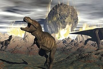 El asteroide que mató a los dinosaurios hizo que los hongos heredaran la Tierra