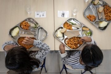 Recetas que sí funcionan contra la obesidad infantil: alertas en las etiquetas, coto a la publicidad y fin a la comida basura en colegios