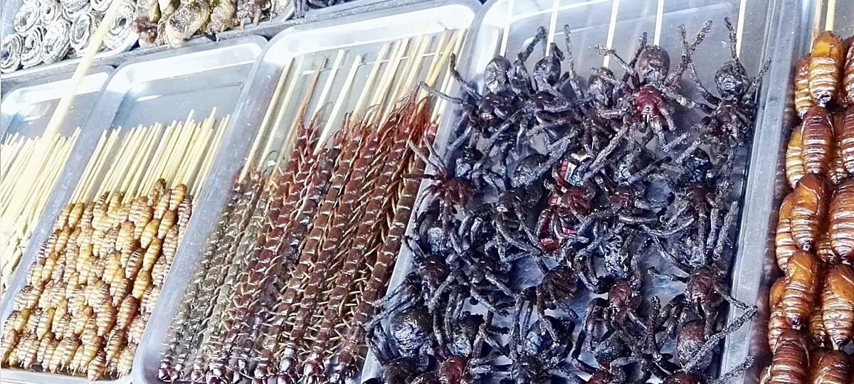 Comíamos insectos, sí, pero muchos menos que los neandertales