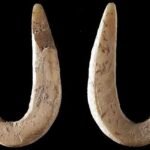 De la espina de pescado al gancho de acero: 40.000 años de evolución del anzuelo