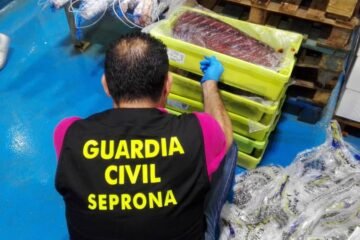 Las otras amenazas alimentarias que vigila la UE: contrabando de carne de primate, atún adulterado, parásitos de mapache…