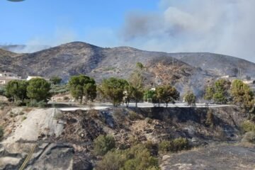 Mueren al menos 12 personas en el incendio de Los Gallardos, en Almería, el más mortífero registrado en Andalucía