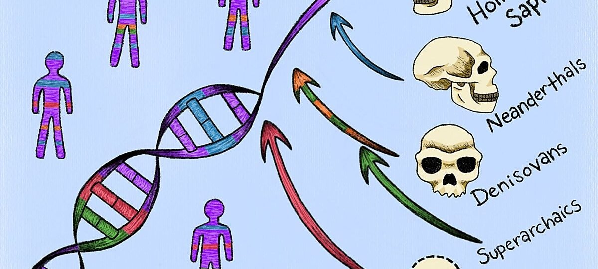 Ni neandertales ni denisovanos: hallan en nuestro genoma las huellas de otras dos «especies fantasma» desconocidas