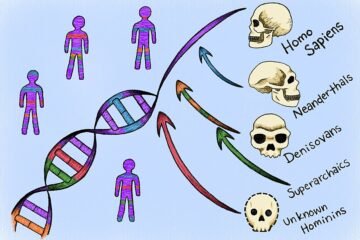 Ni neandertales ni denisovanos: hallan en nuestro genoma las huellas de otras dos «especies fantasma» desconocidas