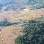 Más de 20.000 geoglifos ocultos en la selva revelan una Amazonia precolonial densamente habitada