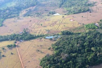 Más de 20.000 geoglifos ocultos en la selva revelan una Amazonia precolonial densamente habitada