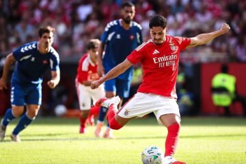 El Betis tantea las condiciones de Franjo Ivanovic, delantero del Benfica