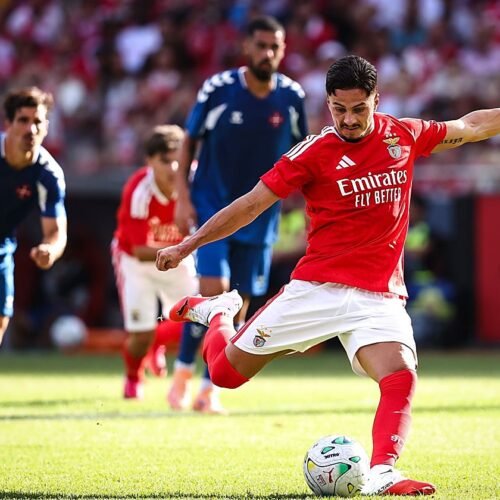 El Betis tantea las condiciones de Franjo Ivanovic, delantero del Benfica