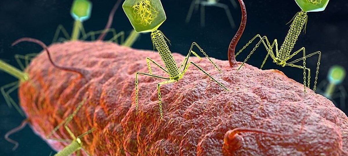 La IA da un nuevo salto y crea organismos artificiales completos desde cero