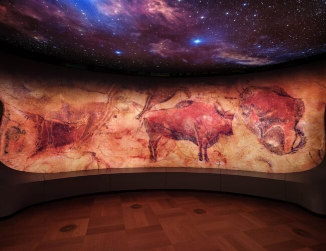 Los bisontes de Altamira brillan en el museo de George Lucas de Los Ángeles