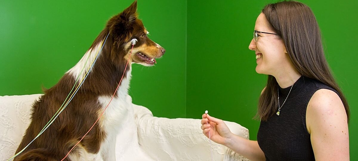 Hablar a los perros moldea su cerebro