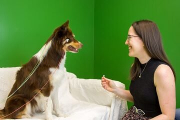Hablar a los perros moldea su cerebro