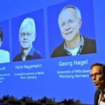 Un alga unicelular, un rayo de luz y una cura para la ceguera: por qué la optogenética se merecía el Nobel de Medicina 2026