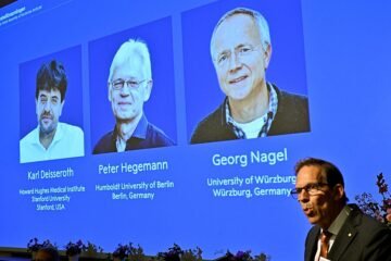 Un alga unicelular, un rayo de luz y una cura para la ceguera: por qué la optogenética se merecía el Nobel de Medicina 2026