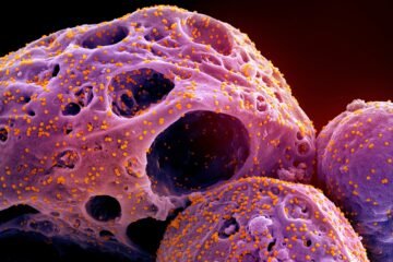 Un atlas de los virus respiratorios revela que la covid ya no es invernal y pone en cuestión el calendario vacunal