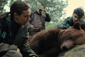 ‘Matar a un oso’: la serie que cuenta cómo el asesinato de un plantígrado se convirtió en una exhaustiva investigación judicial 